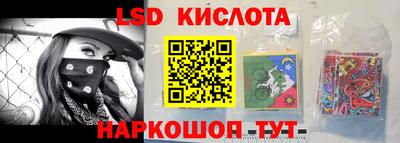 прущие грибы Новозыбков