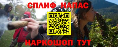 прущие грибы Новозыбков