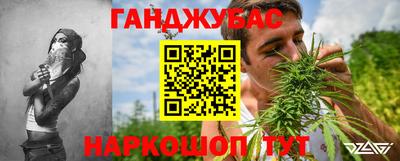 прущие грибы Новозыбков