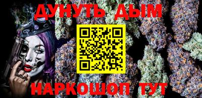 сатива Новодвинск
