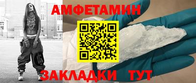 прущие грибы Новозыбков