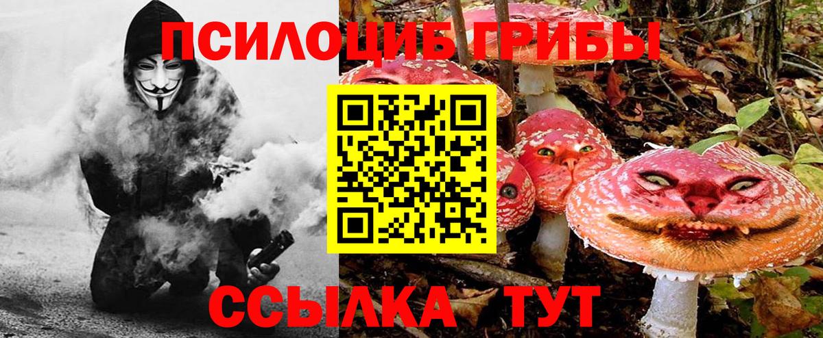 Псилоцибиновые грибы ЛСД Тосно