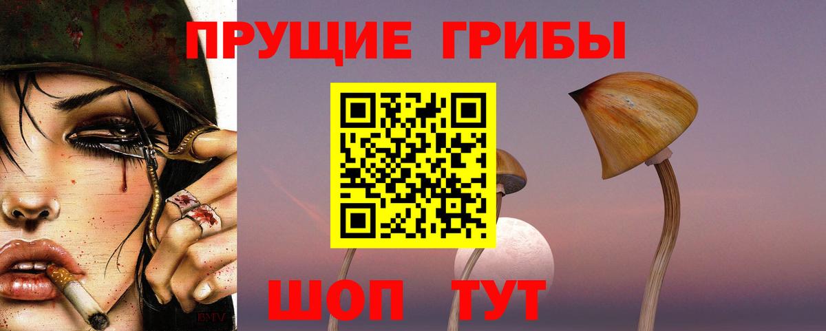 Галлюциногенные грибы Magic Shrooms  Вход с VPN  Тосно 